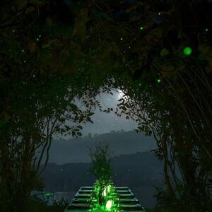 Grüne Tafel 04.09.2026 Start 16.00 Uhr