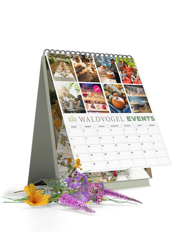 Events im Waldvogel 2025